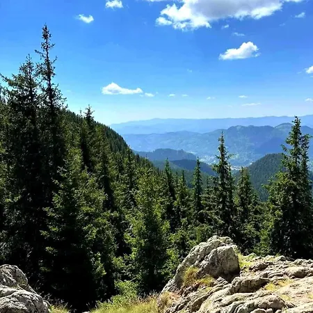 Sokolets Grand Pamporovo