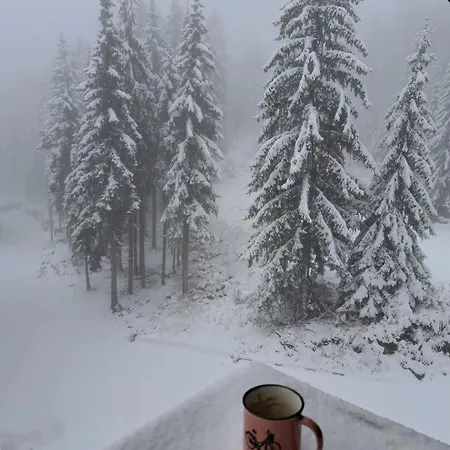 Sokolets Grand Pamporovo